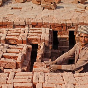 Bricks